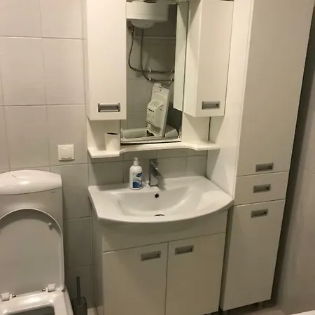 Studio Apartman Cernica